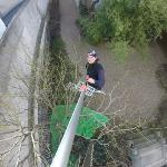 Combinado de sierra y podadora en pértiga telescópica, 1,90-3,30 m, Nishigaki N-129